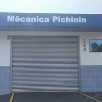 Mecanica Pichinin Jau